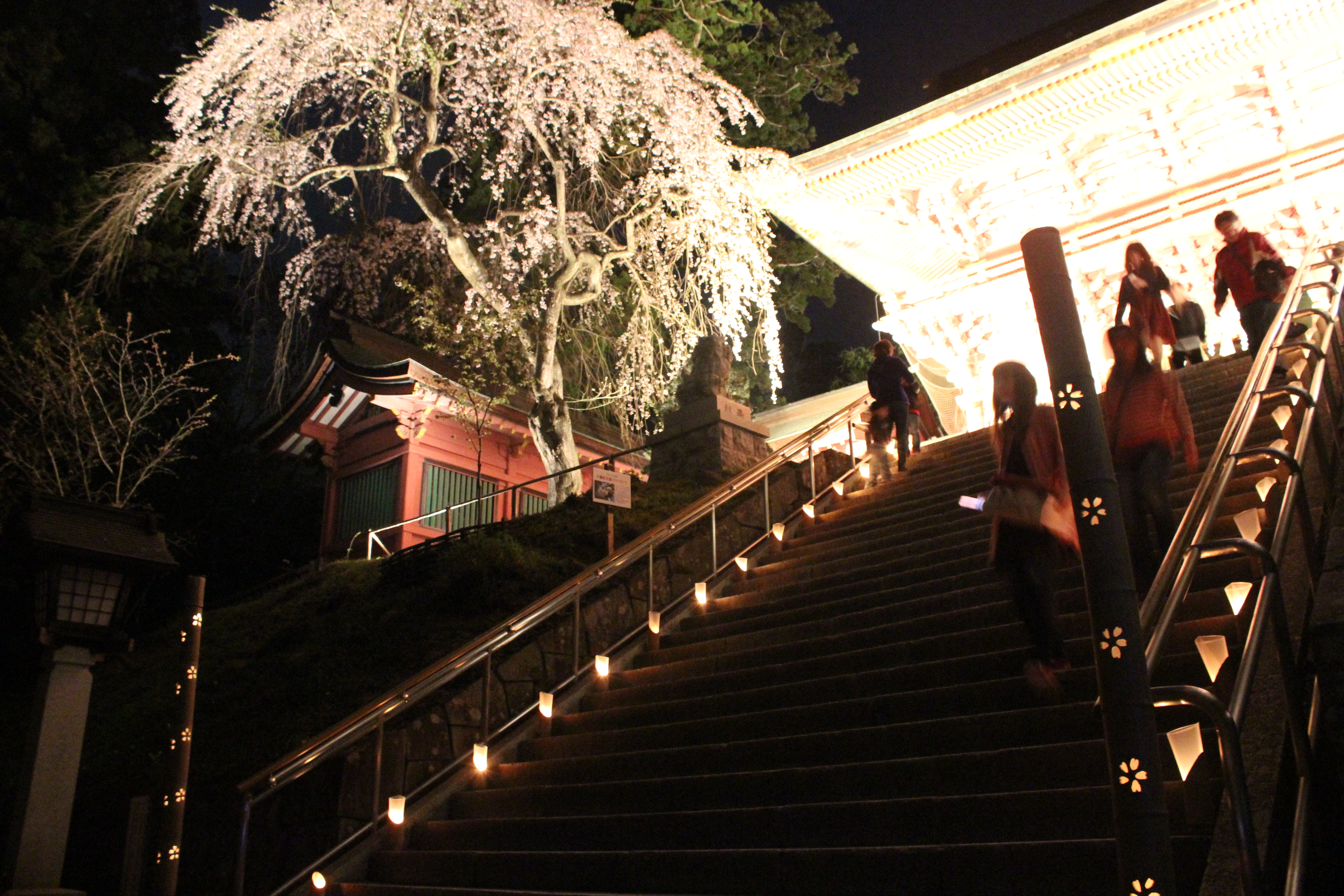 塩釜市青年四団体主催「しおがまさま神々の花灯り」開催 | 塩釜商工会議所